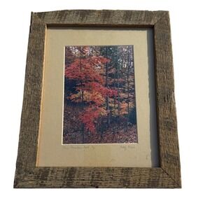Betty‎ Neagle Framed Art Pine Mountain Park KY Rustic Decor Autumn Vintage